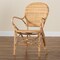 Baxton Studio Genna Modern Bohemian Natural Brown Finished Rattan Dining Chair 205-12675 - alternate 7